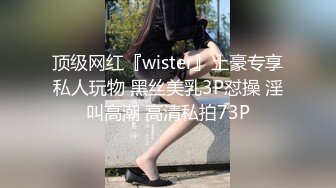 顶级网红『wister』土豪专享私人玩物 黑丝美乳3P怼操 淫叫高潮 高清私拍73P