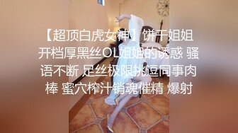 Al&mdash;索菲娅&middot;维加拉 爆乳女仆