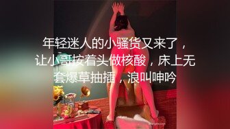 (麻豆傳媒)(mfk-0043)(20240111)小姨的線上情人