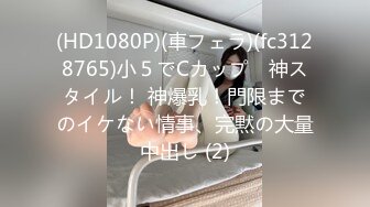 (HD1080P)(車フェラ)(fc3128765)小５でCカップ　神スタイル！ 神爆乳！門限までのイケない情事、完黙の大量中出し (2)