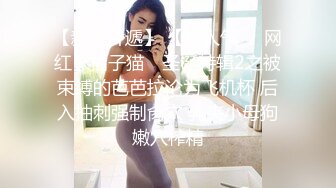 泰国朋克风纹身牙套妹「Elle Iren」OF性爱私拍 微胖巨乳泰妹榨精瘦弱男友【第二弹】 (1)