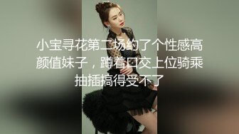 小宝寻花第二场约了个性感高颜值妹子，蹲着口交上位骑乘抽插搞得受不了