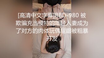 餐厅女厕偷拍几个高颜值美女嘘嘘