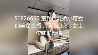 【国产AV首发❤️星耀】麻豆传媒全新性爱系列DHT-03