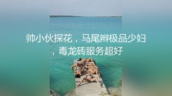 《极品CP❤️重磅泄密》厕拍达人景区女公厕全景偸拍后续6❤️各种高质量气质小姐姐方便~姿态百出~赏逼赏脸有极品