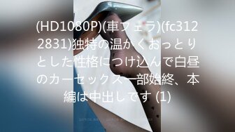 囚われのプリズナー 逃げ場ナシ！犯され続ける哀しき美人受刑者 桐嶋りの 生駒はるな