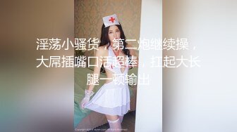 性感丝袜职业装少妇，操起来太舒服了。