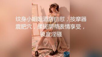 纹身小姐姐酒店自慰，按摩器震肥穴，揉搓阴蒂表情享受，极度淫骚