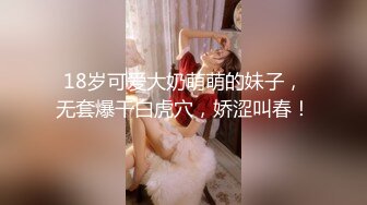 性感小模跟小開男友愛愛影片流出