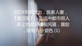 ID5380 爱豆传媒 高冷文坛美女竟然是个反差婊 米兰