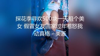 探花李寻欢500块一天租个美女 假冒女友回家过年惹怒我动真格 - 美酱