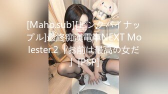 [Maho.sub][ピンクパイナップル]最終痴漢電車NEXT Molester.2「お前は最高の女だ」[PSP]